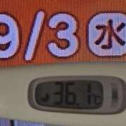 ヒメ日記 2025/09/03 08:41 投稿 加保(ひまわりの約束) おふくろさん 名古屋本店