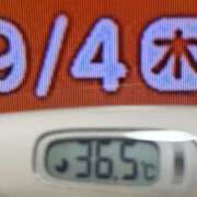 ヒメ日記 2025/09/04 08:38 投稿 加保(ひまわりの約束) おふくろさん 名古屋本店