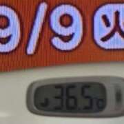 ヒメ日記 2025/09/09 08:38 投稿 加保(ひまわりの約束) おふくろさん 名古屋本店