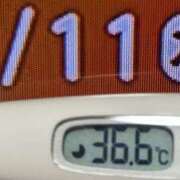 ヒメ日記 2025/09/11 08:24 投稿 加保(ひまわりの約束) おふくろさん 名古屋本店