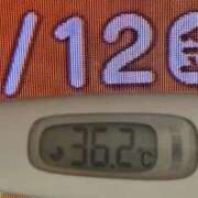 ヒメ日記 2025/09/12 08:37 投稿 加保(ひまわりの約束) おふくろさん 名古屋本店