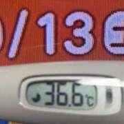 ヒメ日記 2025/09/13 08:34 投稿 加保(ひまわりの約束) おふくろさん 名古屋本店