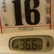 ヒメ日記 2025/09/16 10:54 投稿 加保(ひまわりの約束) おふくろさん 名古屋本店