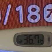 ヒメ日記 2025/09/18 08:37 投稿 加保(ひまわりの約束) おふくろさん 名古屋本店