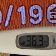 ヒメ日記 2025/09/19 08:22 投稿 加保(ひまわりの約束) おふくろさん 名古屋本店