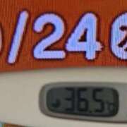 ヒメ日記 2025/09/24 09:32 投稿 加保(ひまわりの約束) おふくろさん 名古屋本店