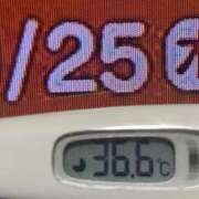 ヒメ日記 2025/09/25 08:36 投稿 加保(ひまわりの約束) おふくろさん 名古屋本店