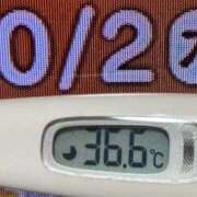 ヒメ日記 2025/10/02 08:21 投稿 加保(ひまわりの約束) おふくろさん 名古屋本店