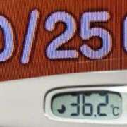 ヒメ日記 2025/10/25 07:55 投稿 加保(ひまわりの約束) おふくろさん 名古屋本店