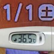 ヒメ日記 2025/11/01 08:41 投稿 加保(ひまわりの約束) おふくろさん 名古屋本店