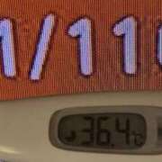 ヒメ日記 2025/11/11 09:08 投稿 加保(ひまわりの約束) おふくろさん 名古屋本店