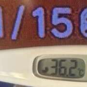 ヒメ日記 2025/11/15 08:46 投稿 加保(ひまわりの約束) おふくろさん 名古屋本店