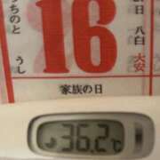 ヒメ日記 2025/11/16 09:05 投稿 加保(ひまわりの約束) おふくろさん 名古屋本店