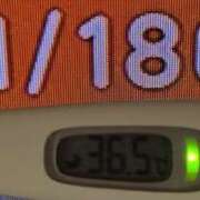 ヒメ日記 2025/11/18 08:17 投稿 加保(ひまわりの約束) おふくろさん 名古屋本店