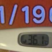 ヒメ日記 2025/11/19 08:42 投稿 加保(ひまわりの約束) おふくろさん 名古屋本店
