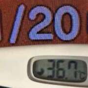 ヒメ日記 2025/11/20 08:43 投稿 加保(ひまわりの約束) おふくろさん 名古屋本店