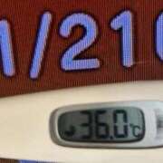 ヒメ日記 2025/11/21 08:42 投稿 加保(ひまわりの約束) おふくろさん 名古屋本店