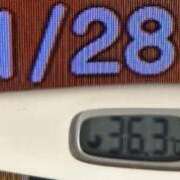 ヒメ日記 2025/11/28 08:52 投稿 加保(ひまわりの約束) おふくろさん 名古屋本店