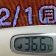 ヒメ日記 2025/12/01 08:42 投稿 加保(ひまわりの約束) おふくろさん 名古屋本店