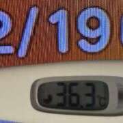 ヒメ日記 2025/12/19 08:43 投稿 加保(ひまわりの約束) おふくろさん 名古屋本店