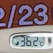 ヒメ日記 2025/12/23 08:45 投稿 加保(ひまわりの約束) おふくろさん 名古屋本店