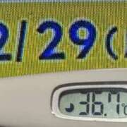 ヒメ日記 2025/12/29 08:44 投稿 加保(ひまわりの約束) おふくろさん 名古屋本店