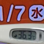 ヒメ日記 2026/01/07 09:00 投稿 加保(ひまわりの約束) おふくろさん 名古屋本店