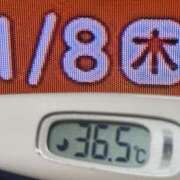 ヒメ日記 2026/01/08 09:07 投稿 加保(ひまわりの約束) おふくろさん 名古屋本店