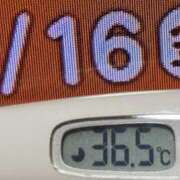 ヒメ日記 2026/01/16 08:41 投稿 加保(ひまわりの約束) おふくろさん 名古屋本店