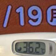 ヒメ日記 2026/01/19 08:38 投稿 加保(ひまわりの約束) おふくろさん 名古屋本店