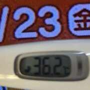 ヒメ日記 2026/01/23 08:39 投稿 加保(ひまわりの約束) おふくろさん 名古屋本店