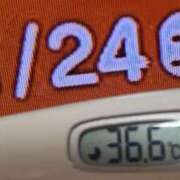 ヒメ日記 2026/01/24 09:12 投稿 加保(ひまわりの約束) おふくろさん 名古屋本店