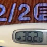 ヒメ日記 2026/02/02 08:55 投稿 加保(ひまわりの約束) おふくろさん 名古屋本店