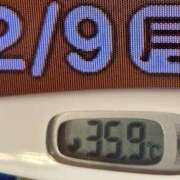 ヒメ日記 2026/02/09 08:31 投稿 加保(ひまわりの約束) おふくろさん 名古屋本店