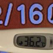 ヒメ日記 2026/02/16 09:56 投稿 加保(ひまわりの約束) おふくろさん 名古屋本店