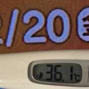 ヒメ日記 2026/02/20 08:44 投稿 加保(ひまわりの約束) おふくろさん 名古屋本店