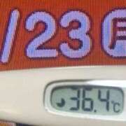 ヒメ日記 2026/02/23 08:47 投稿 加保(ひまわりの約束) おふくろさん 名古屋本店