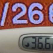 ヒメ日記 2026/02/26 09:01 投稿 加保(ひまわりの約束) おふくろさん 名古屋本店