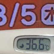 ヒメ日記 2026/03/05 08:21 投稿 加保(ひまわりの約束) おふくろさん 名古屋本店