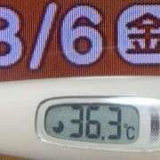 ヒメ日記 2026/03/06 08:17 投稿 加保(ひまわりの約束) おふくろさん 名古屋本店