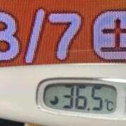 ヒメ日記 2026/03/07 08:44 投稿 加保(ひまわりの約束) おふくろさん 名古屋本店