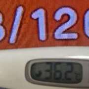 ヒメ日記 2026/03/12 08:39 投稿 加保(ひまわりの約束) おふくろさん 名古屋本店