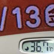 ヒメ日記 2026/03/13 08:26 投稿 加保(ひまわりの約束) おふくろさん 名古屋本店