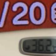 ヒメ日記 2026/03/20 08:46 投稿 加保(ひまわりの約束) おふくろさん 名古屋本店