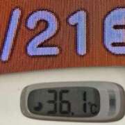 ヒメ日記 2026/03/21 08:43 投稿 加保(ひまわりの約束) おふくろさん 名古屋本店