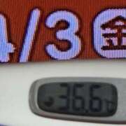 ヒメ日記 2026/04/03 08:43 投稿 加保(ひまわりの約束) おふくろさん 名古屋本店