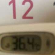 ヒメ日記 2026/04/12 09:33 投稿 加保(ひまわりの約束) おふくろさん 名古屋本店