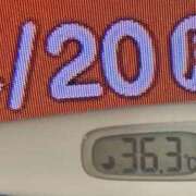 ヒメ日記 2026/04/20 08:41 投稿 加保(ひまわりの約束) おふくろさん 名古屋本店