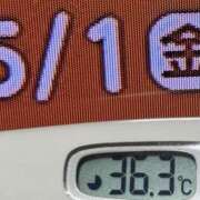 ヒメ日記 2026/05/01 08:15 投稿 加保(ひまわりの約束) おふくろさん 名古屋本店