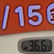 ヒメ日記 2026/05/15 08:04 投稿 加保(ひまわりの約束) おふくろさん 名古屋本店